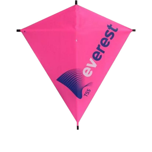 Vliegers