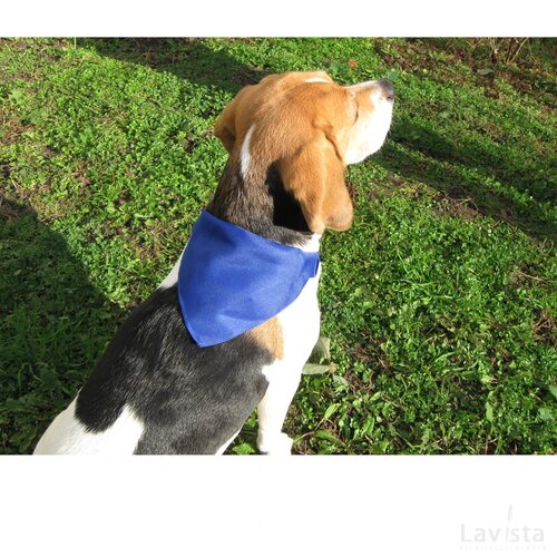 Roco Halsband (Kobalt) Blauw