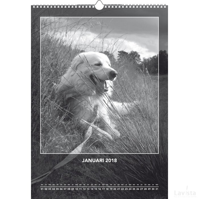 A3 Maandkalender 13 Bladen