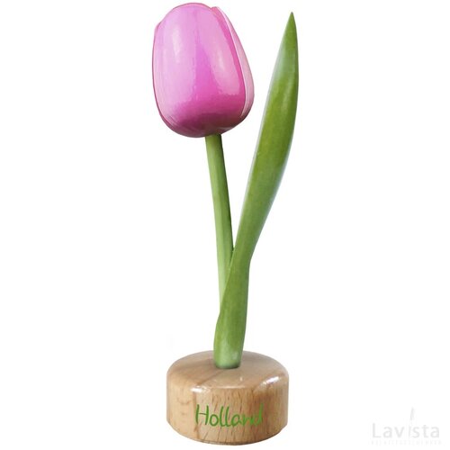 Tulip pedestal 20 cm ( big ), pink white Holland