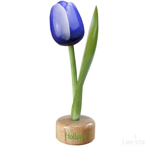 Tulip pedestal 20 cm ( big ), blue white Holland