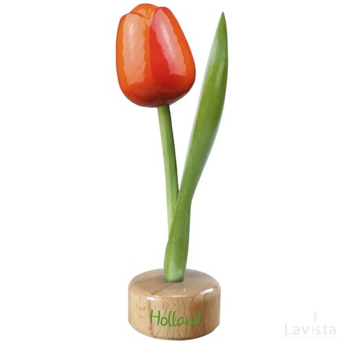 Tulip pedestal 20 cm ( big ), orange red Holland