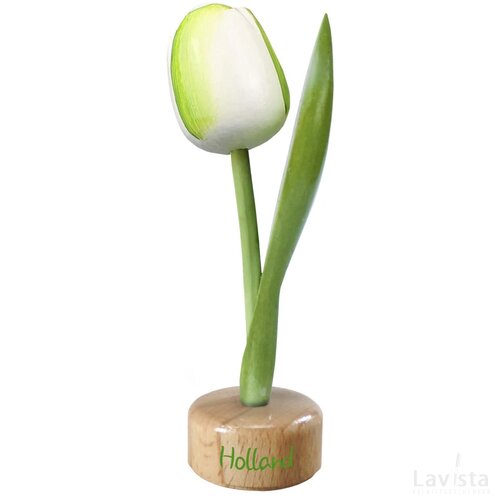 Tulip pedestal 20 cm ( big ), white green Holland