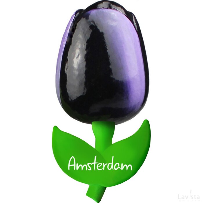 Tulip magnet 9 cm ( big ), aubergine white Amsterdam