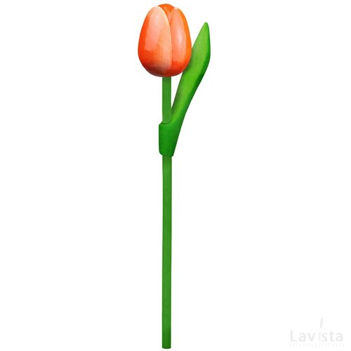 Tulip on a stem 20 cm ( small ), orange white