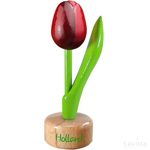 Tulip pedestal 8,5 cm ( small ), red aubergine Holland