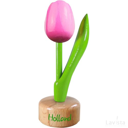 Tulip pedestal 8,5 cm ( small ), pink white Holland