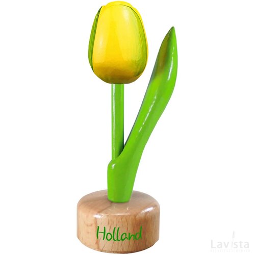 Tulip pedestal 8,5 cm ( small ), yellow green Holland