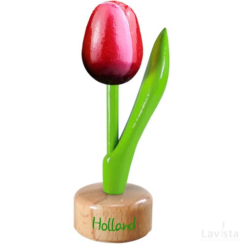 Tulip pedestal 8,5 cm ( small ), red white Holland