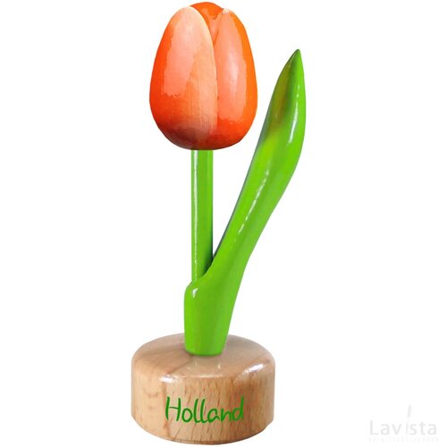 Tulip pedestal 8,5 cm ( small ), orange white Holland