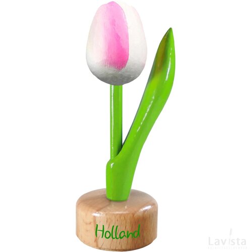 Tulip pedestal 8,5 cm ( small ), white pink Holland