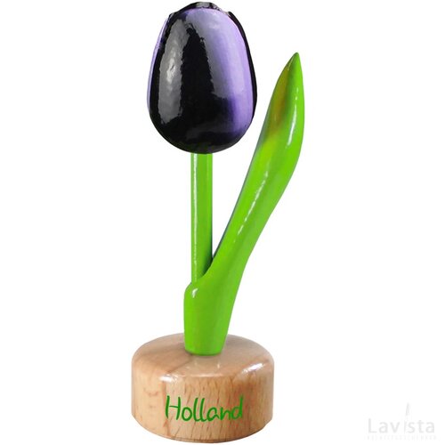 Tulip pedestal 8,5 cm ( small ), aubergine white Holland