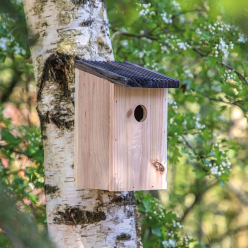 Vogelhuisje Rustiek hout