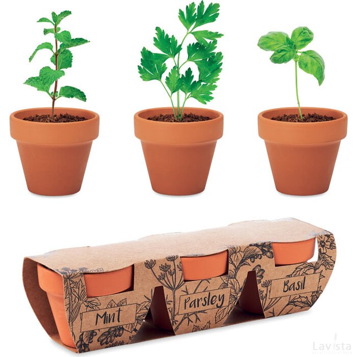 Kruidenpotjes set van 3 Flowerpot hout