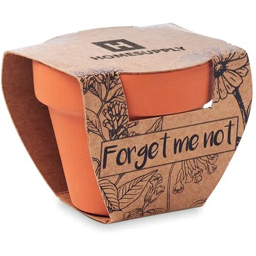 Potje vergeet-me-nietjes Forget me not hout