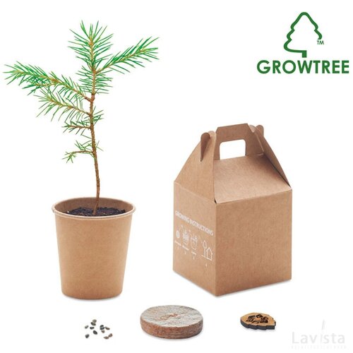 Pijnboom set Growtree™ beige