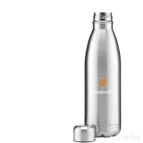 Topflask 790 Ml Single Wall Drinkfles Zilver