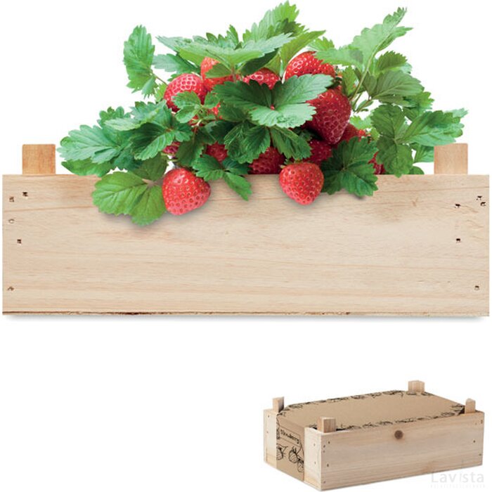 Aardbeienpakket in houten krat Strawberry hout