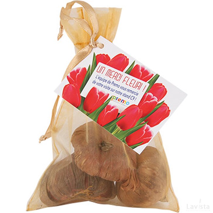 Organza zakje met 3 tulpenbollen en kaartje full colour 1 zijde goud