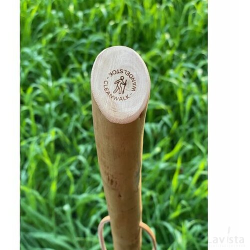 Cleanwalk Walkingstick Wandelstok Hout