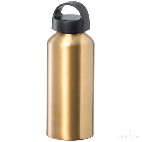 Fecher Sport Fles Goud