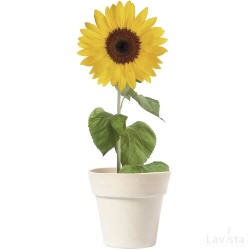 Tumil Bloempot Natuurlijk