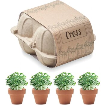 Kweekset in eierdoos Cress beige