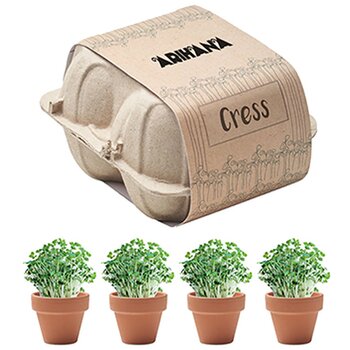 Kweekset in eierdoos Beige