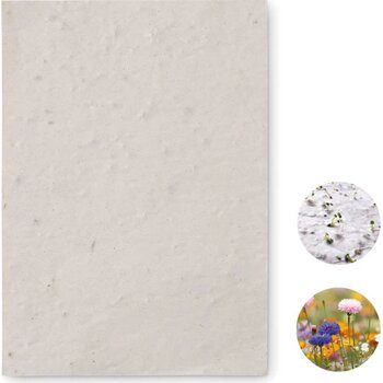 A6 zaadpapier wilde bloemen Asido wit