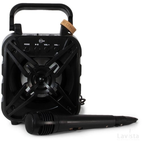 BRAINZ Karaoke Speaker Wheatstraw