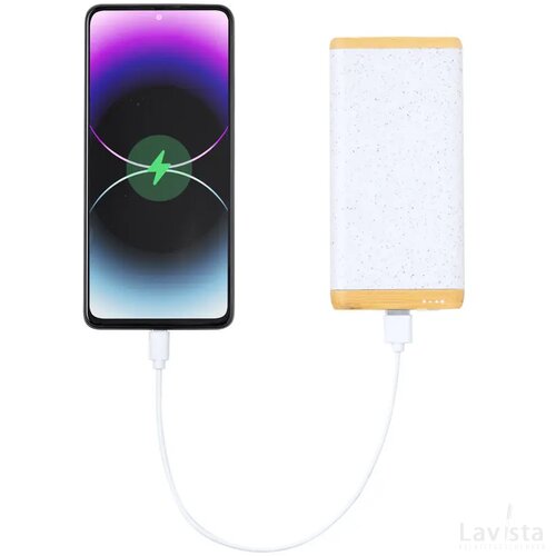Coquin Powerbank Wit