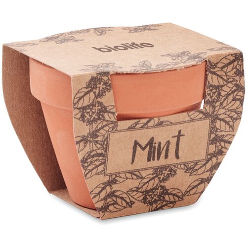 Klein terracotta potje met muntzaadjes Bruin