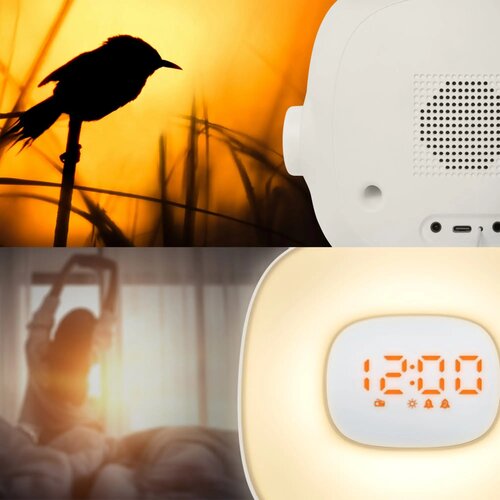 Muse wake up light met radio Wit