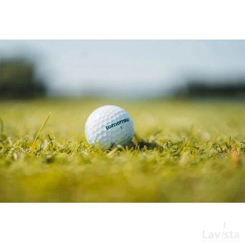 Gerecyclede golfbal Wit