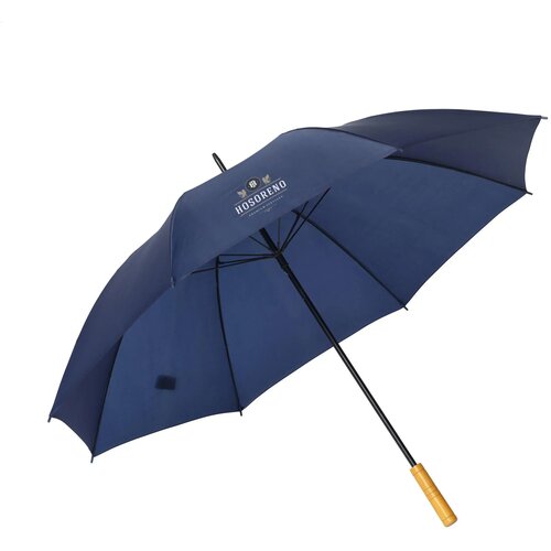 BlueStorm RCS RPET paraplu 30 inch