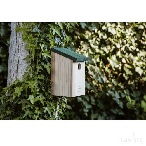 Birdhouse Vogelhuisje Hout