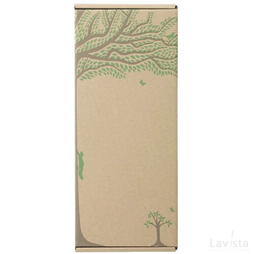 Treemore Brievenbusboompjes Olijfboom Olijf