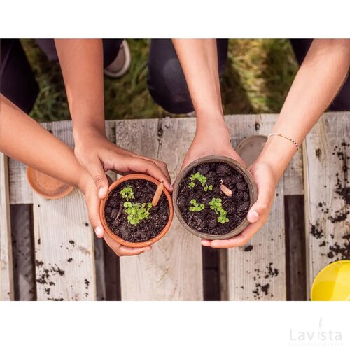 Sproutworld Sharpened Pencil Potlood Komkommer