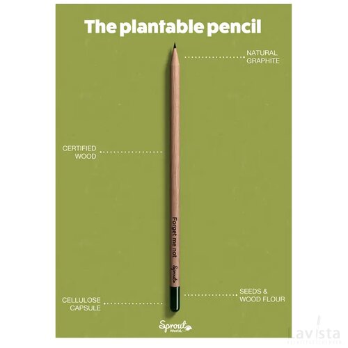 Sproutworld Sharpened Pencil Potlood Veldbloemen