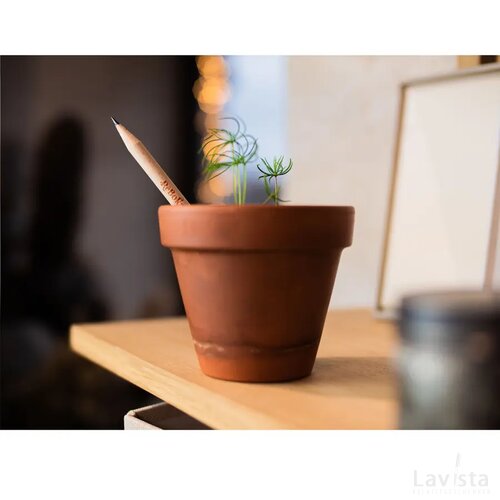 Sproutworld Sharpened Pencil Potlood Veldbloemen