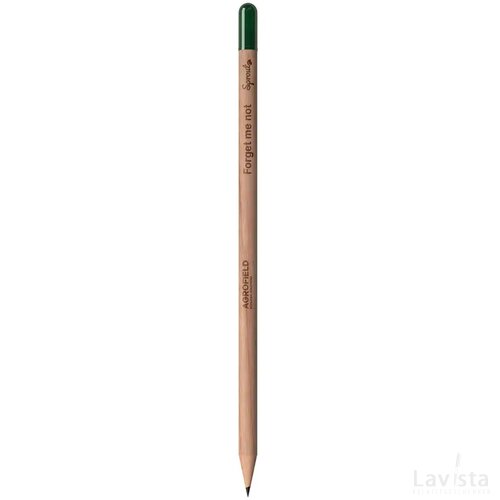 Sproutworld Sharpened Pencil Potlood Forget Me Not