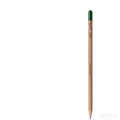 Sproutworld Sharpened Pencil Potlood Basil