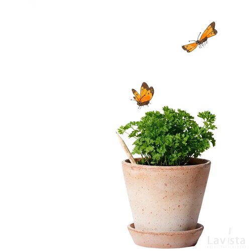 Ongeslepen Sprout potlood Groen