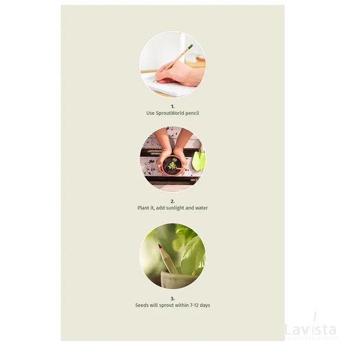 Ongeslepen Sprout potlood Naturel