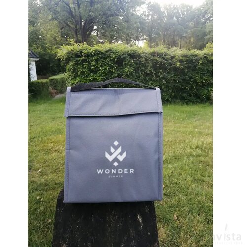 Retulp Fridgebag Lunchbag Lunchtas Grijs