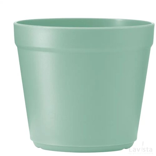 Circulcup 200 Ml Forest Medium