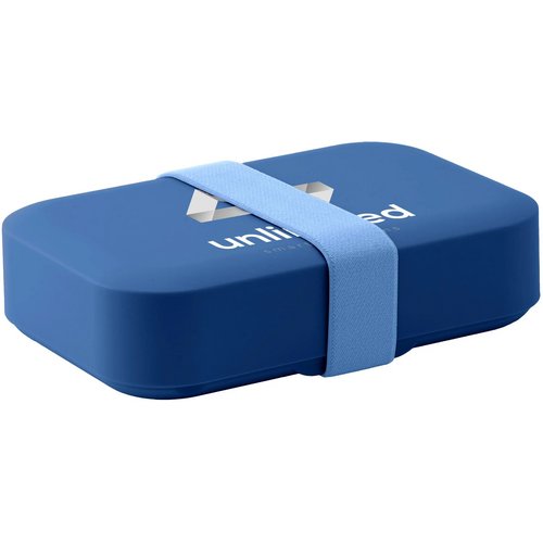 Day To Day Lunchbox Elastic 1100 Ml