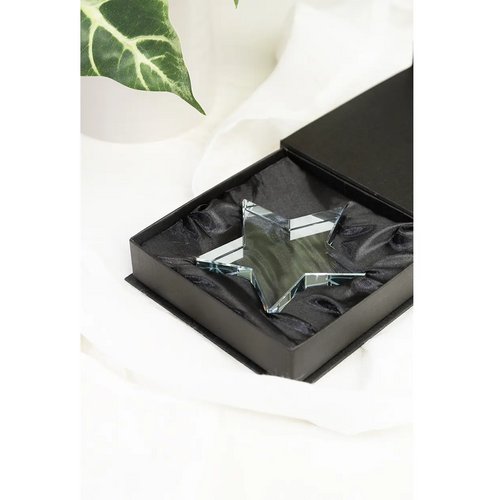 Crystar Trofee Ster Transparant