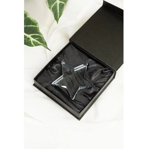 Crystar Trofee Ster Transparant