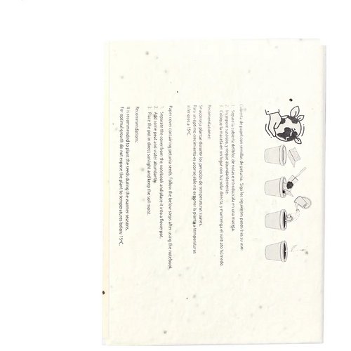Semilla Zaadpapier Zelfklevend Notitieblok Wit